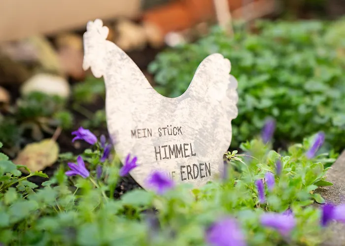 公寓 Am Rande Der In Gartenlage, Highspeed Wlan, Komfortabel